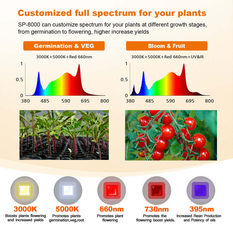 Sanyiba 1200W 1000W 800W 3-way Greenhouse samsung LM301H EVO Lights Grow 660nm Uv Ir Waterproof Full Spectrum 318 Led Grow Light Strip